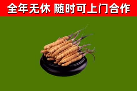 清新烟酒回收冬虫夏草.jpg